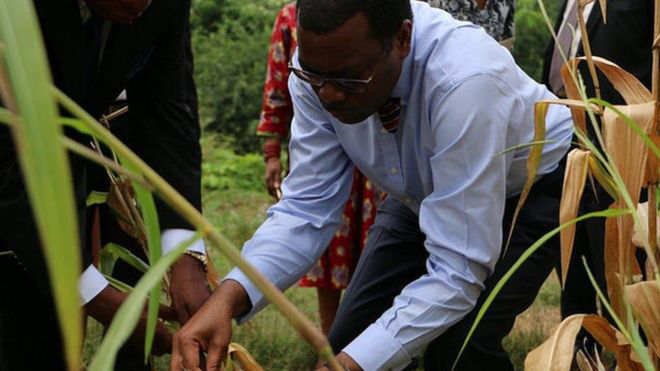 非洲农业发展先锋，Adesina博士被授予“世界粮食奖”
