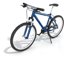 罗丝也买了一辆蓝色自行车