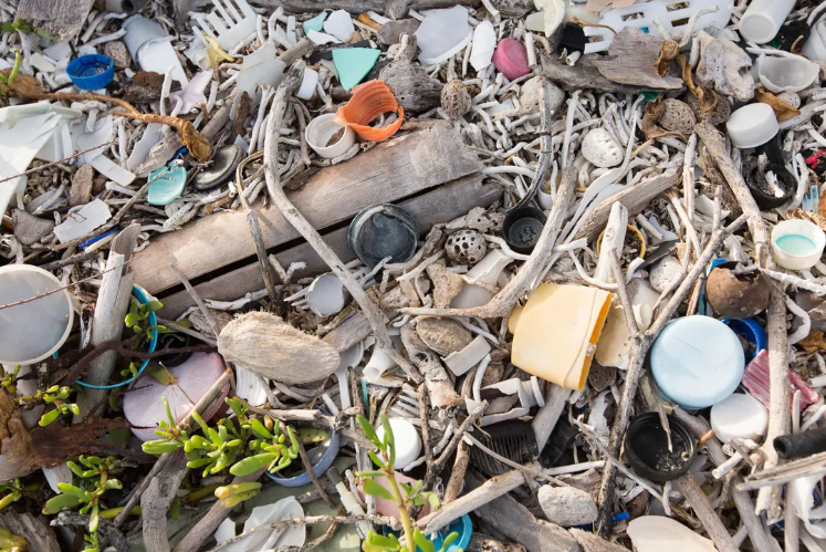 全球塑料污染加剧，塑料垃圾已到达北极
