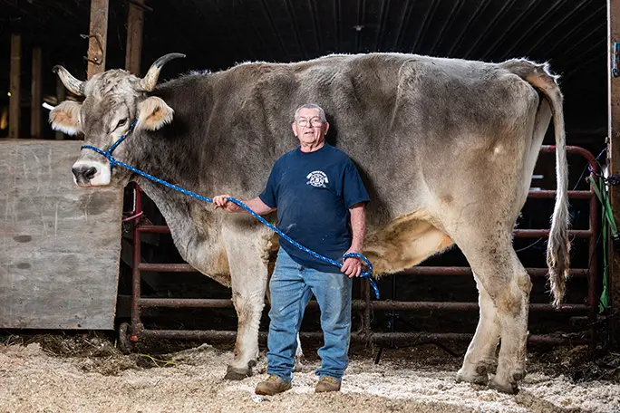 “最高牛”近2米，打破世界纪录！